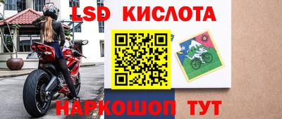 герыч Кингисепп