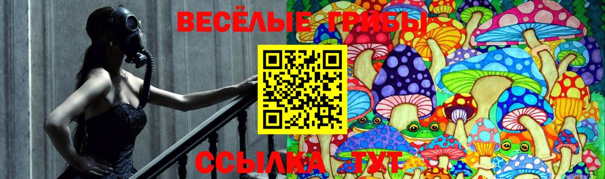 Галлюциногенные грибы ЛСД Коряжма
