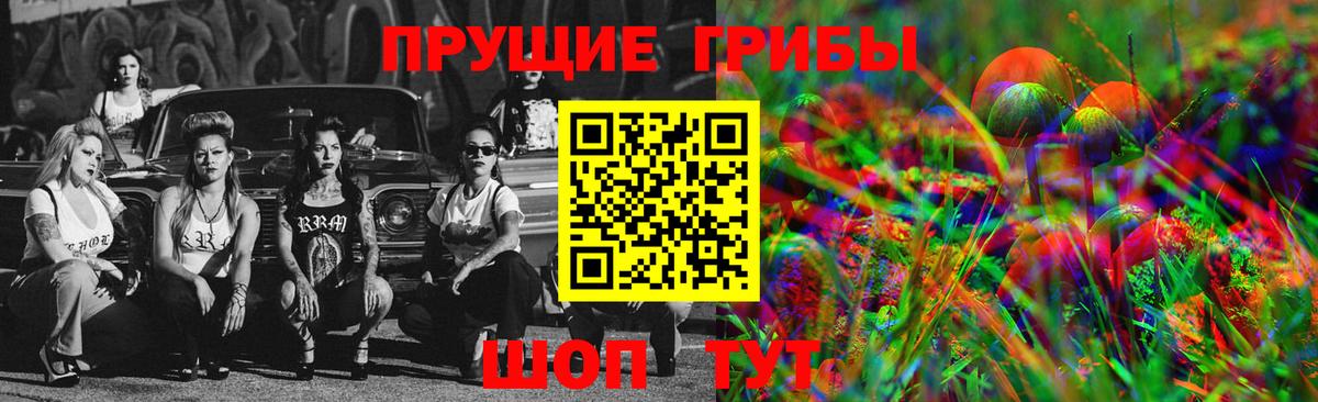 Галлюциногенные грибы Psilocybine cubensis  Вход с VPN  Галлюциногенные грибы прущие грибы  Коряжма 